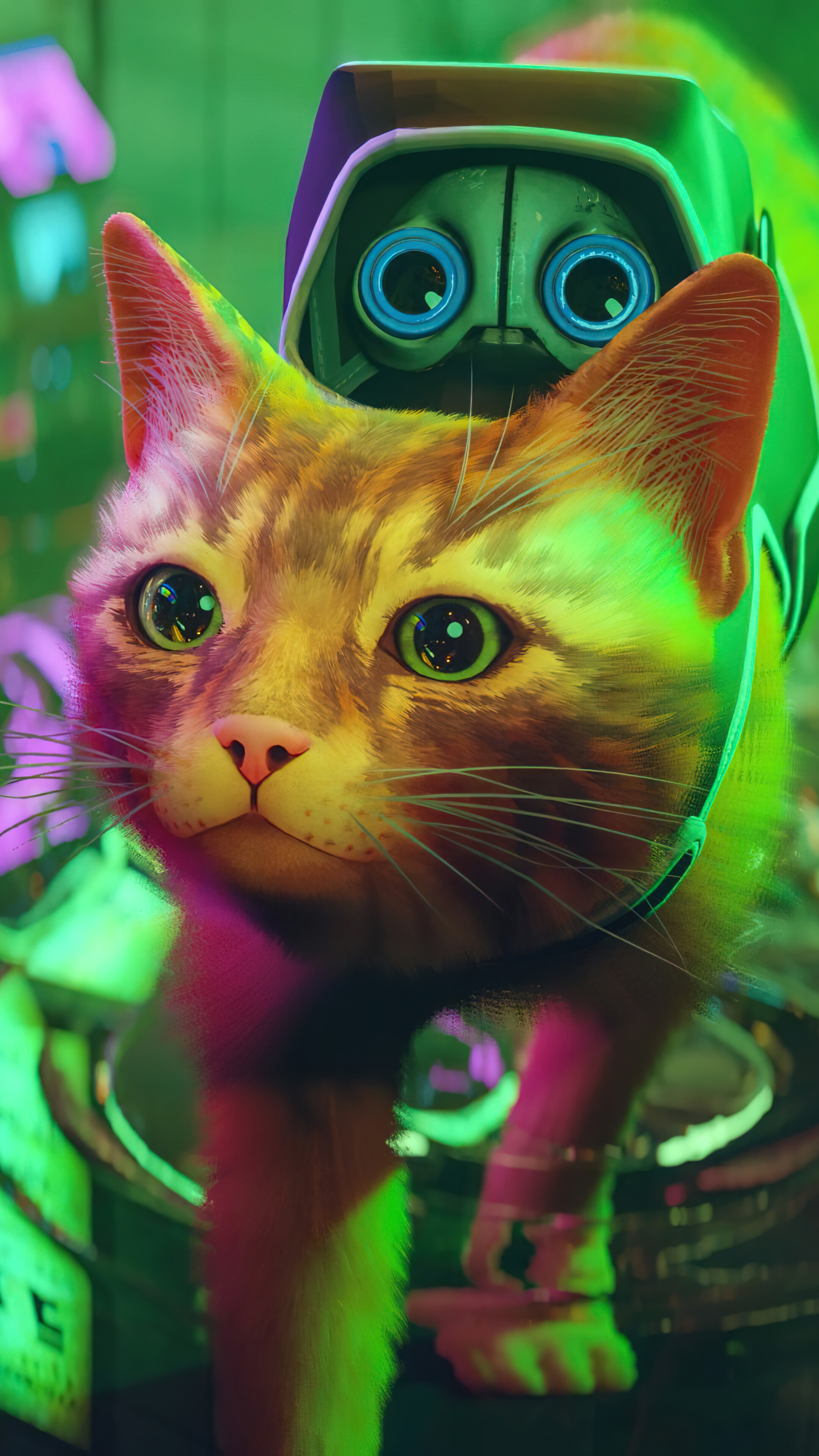 Stray Cats Wallpaper