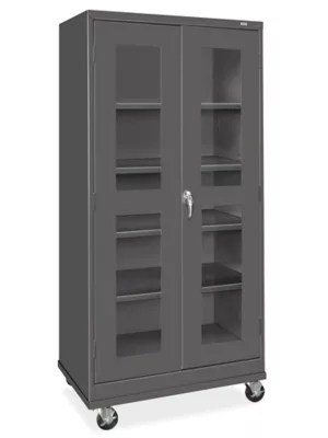 Armoire de rangement transparente mobile 36 x 24 x 78 po, noir