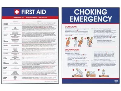 First Aid Posters in Stock ULINE
