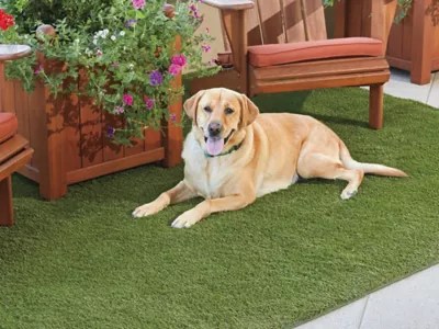 Fake Grass Rugs, Artificial Grass Rugs, Astroturf Rugs in Stock ULINE