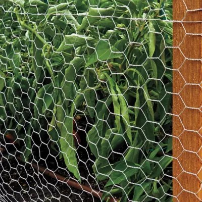 Chicken Wire in Stock ULINE