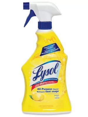 Lysol Disinfectant Spray 650 mL Bottle S13835 Uline
