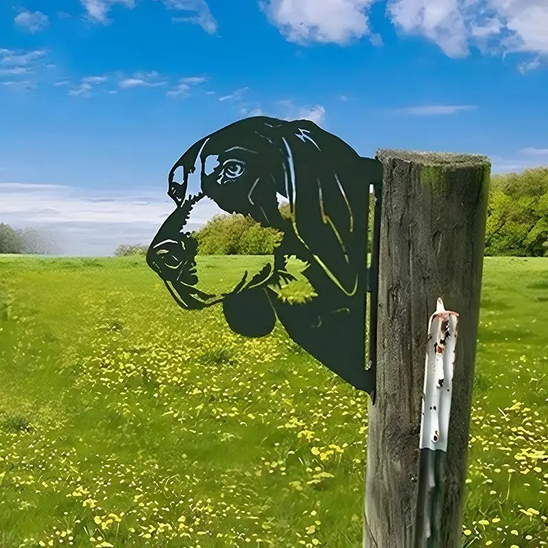 Farm Peeping Animal Metal Art Citib Plum Services SA DE CV