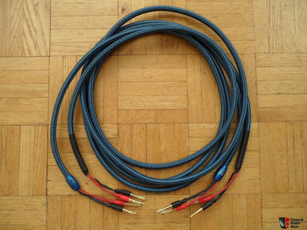 AudioQuest Type 4 speaker cable Photo 536248 US Audio Mart