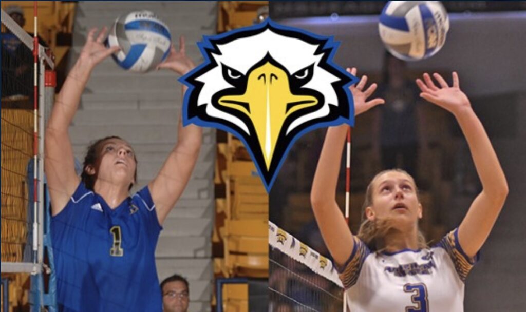 Improving Your Skills With Differential Volleyball The Competitive Way