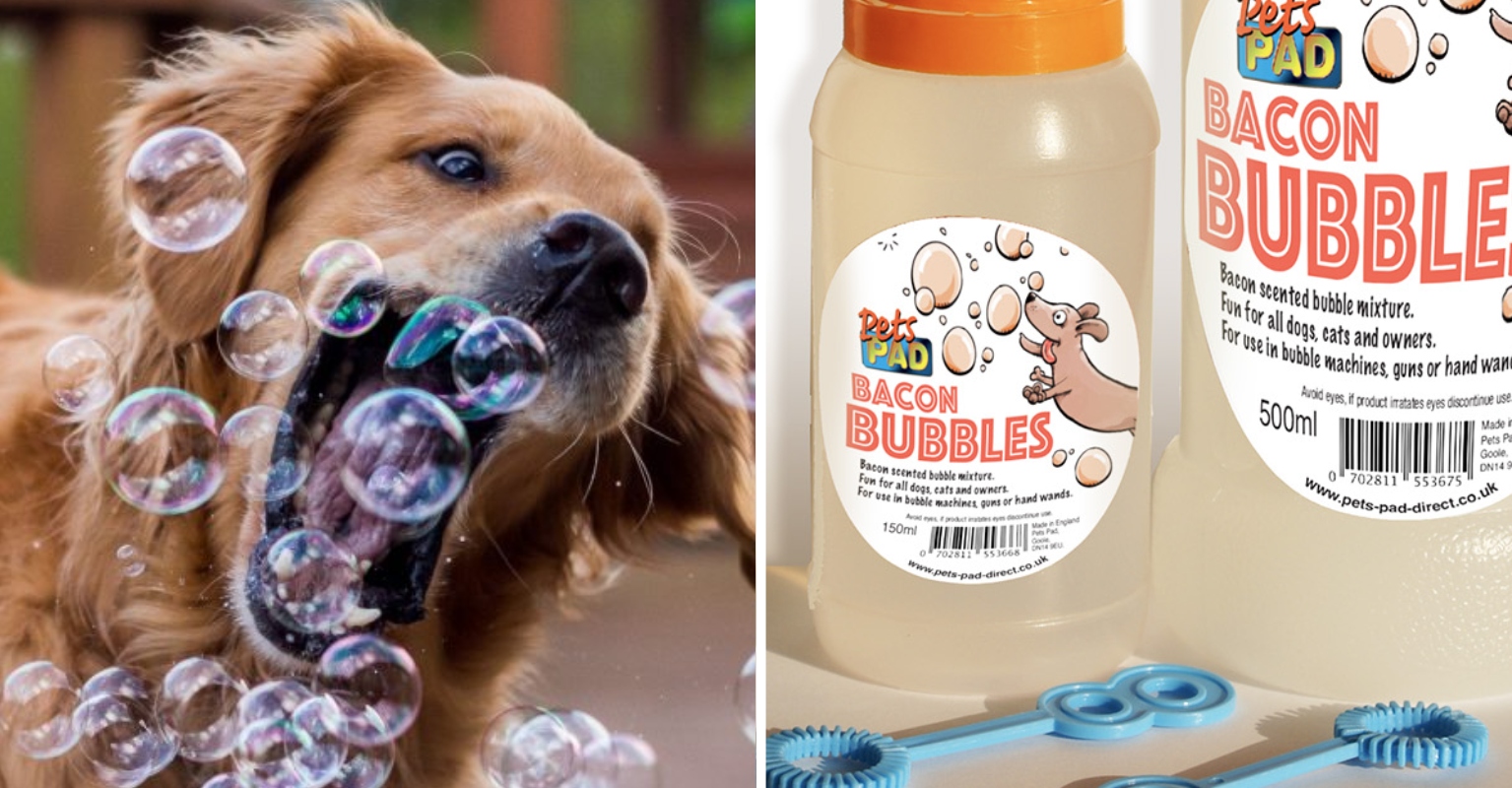 You Can Now Get BaconScented Bubbles For Dogs VT