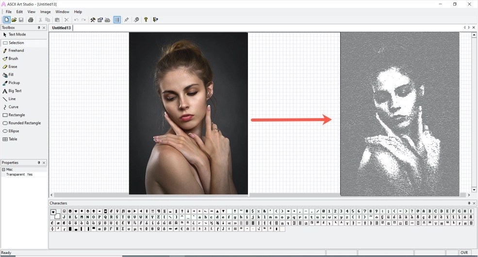 How to Convert Photos to ASCII Text Art? Nots