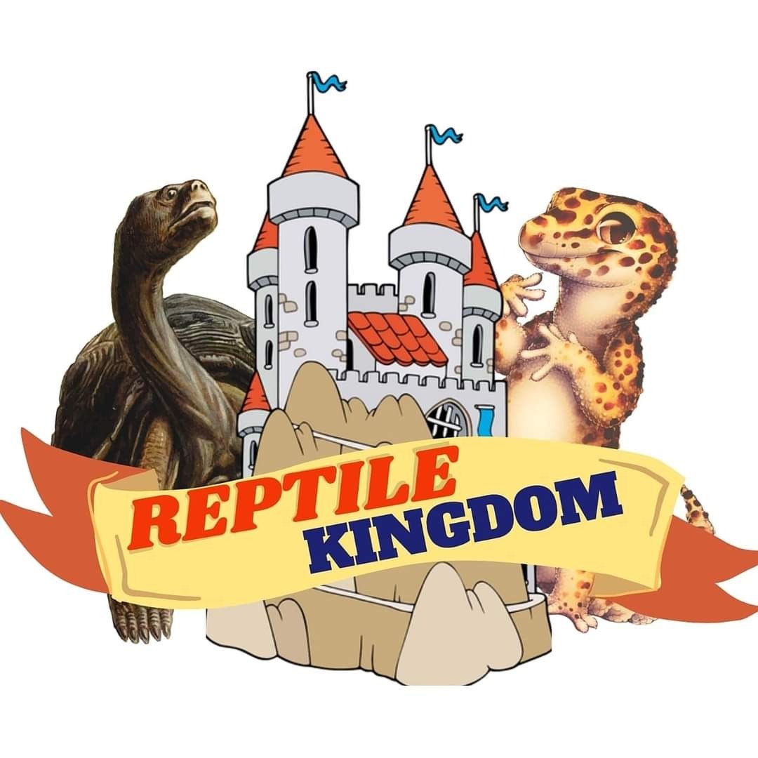 Produk Reptile Kingdom Shopee Indonesia
