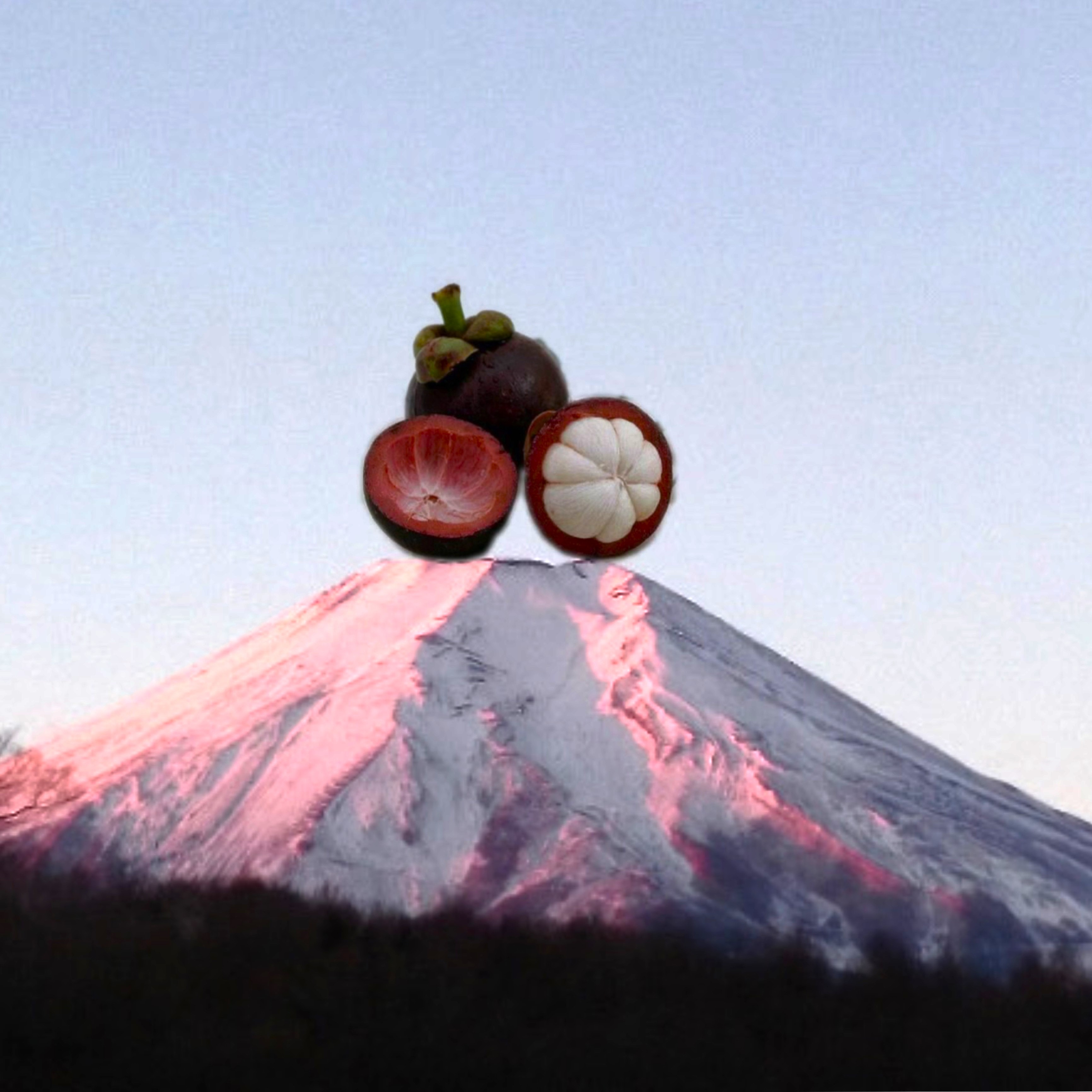 Mangosteen ShopJAPAN, ร้านค้าออนไลน์ Shopee Thailand