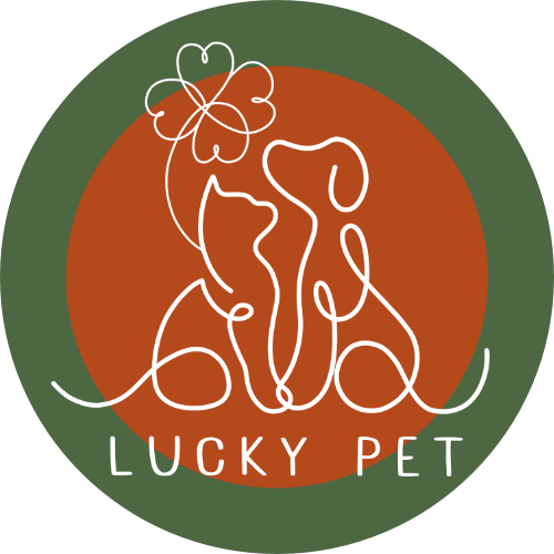 ร้านค้าออนไลน์ Shopee Thailand