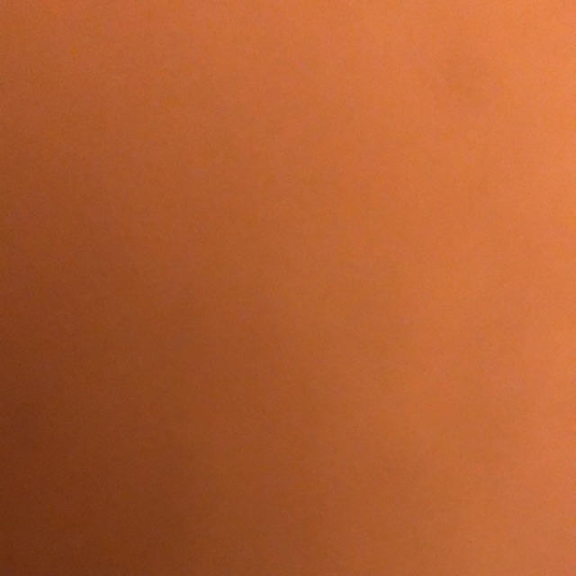 Champ pet shop, ร้านค้าออนไลน์ Shopee Thailand