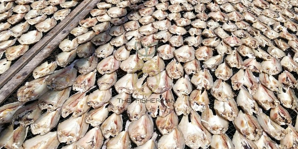 The Fisherman, Online Shop Shopee Malaysia