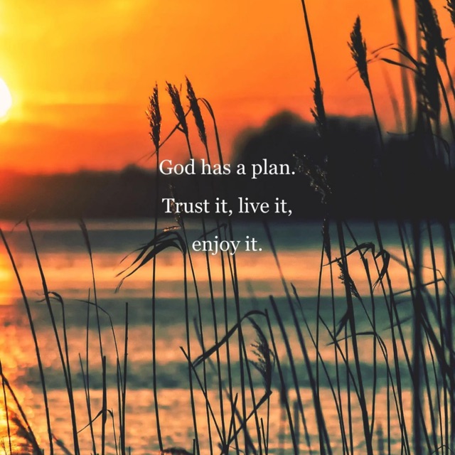 Christmas Tree, Online Shop Shopee Malaysia