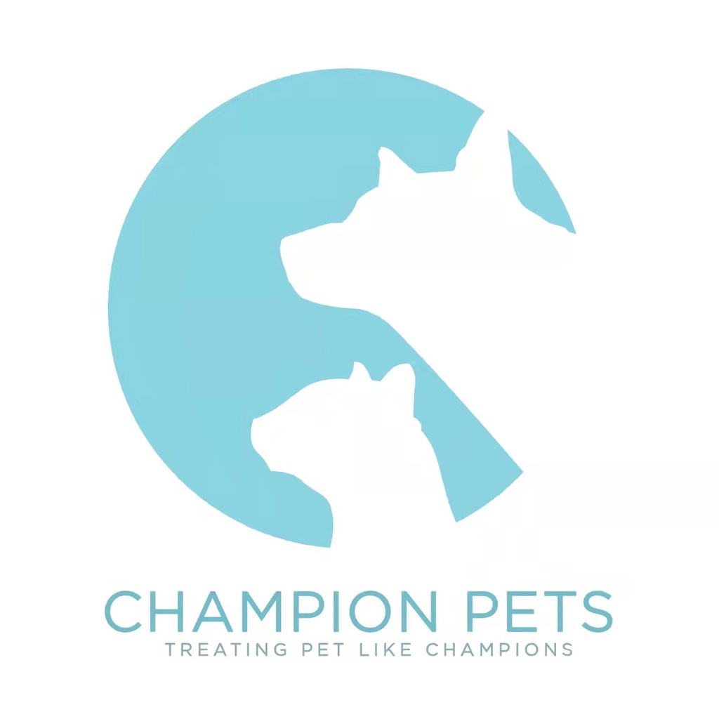your pet store, Online Shop Shopee Philippines