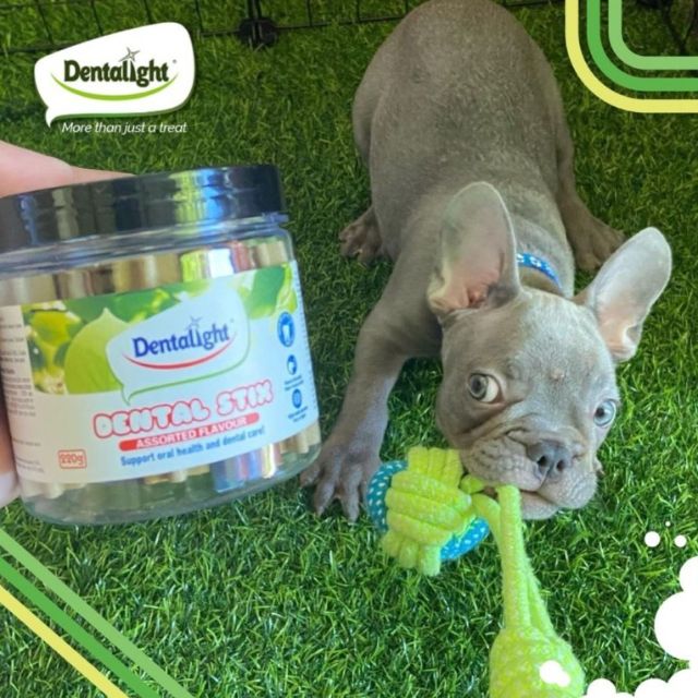 Zette Pet Store, Online Shop Shopee Philippines