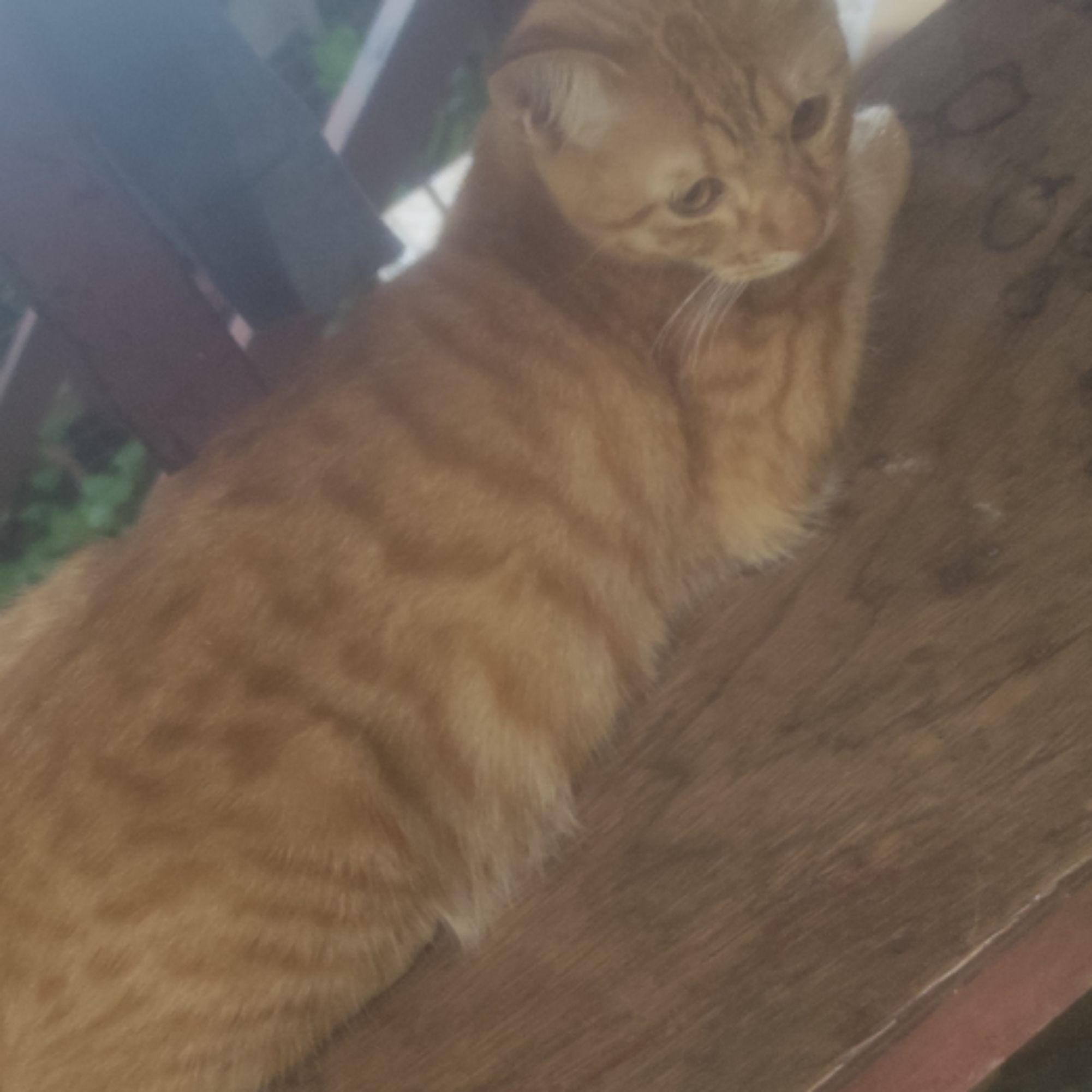 Sammy clothing, Online Shop Shopee Philippines