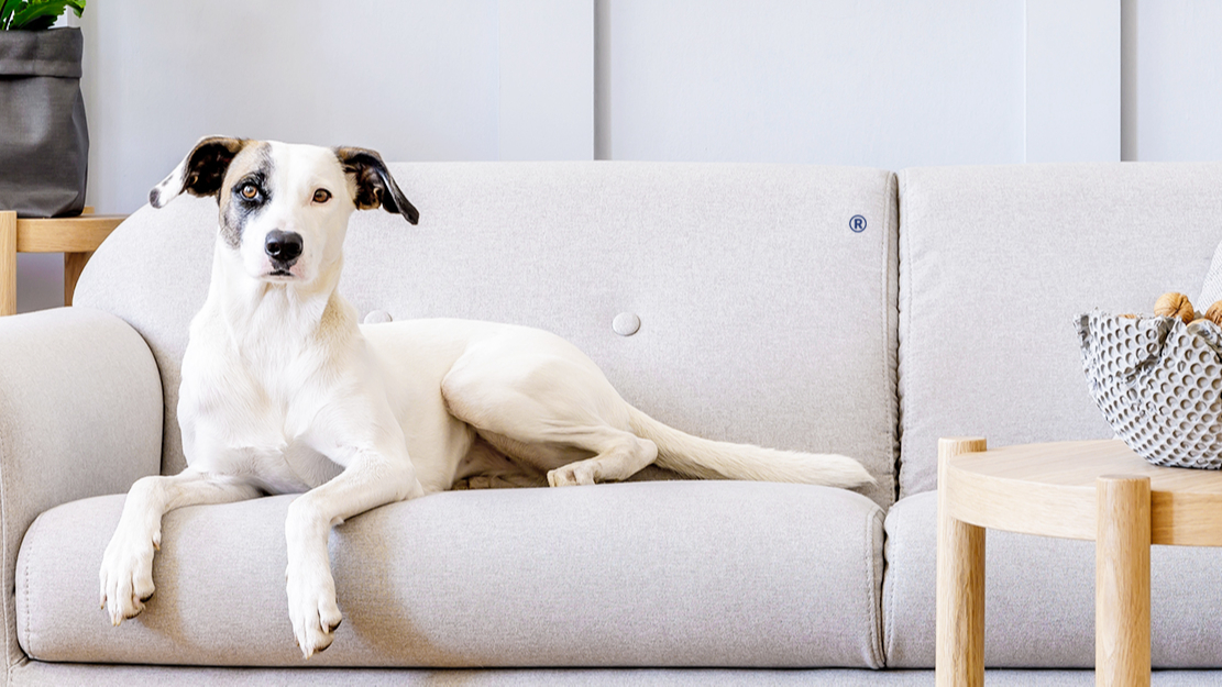 Hot Dog Shop, Online Shop Shopee Philippines