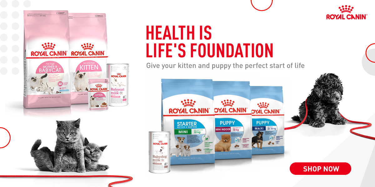 Royal Canin, Online Shop Shopee Philippines