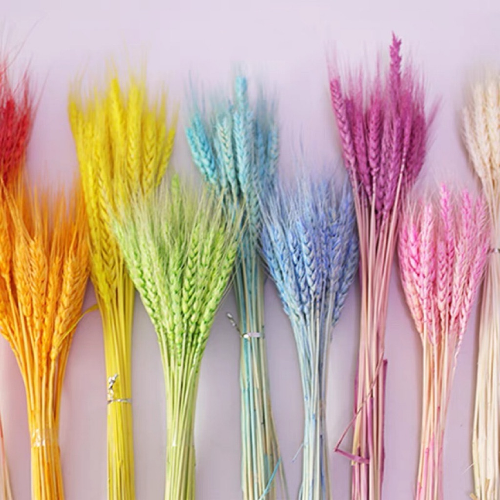 Preserved Flowers Wholesale, Online Shop Shopee Singapore