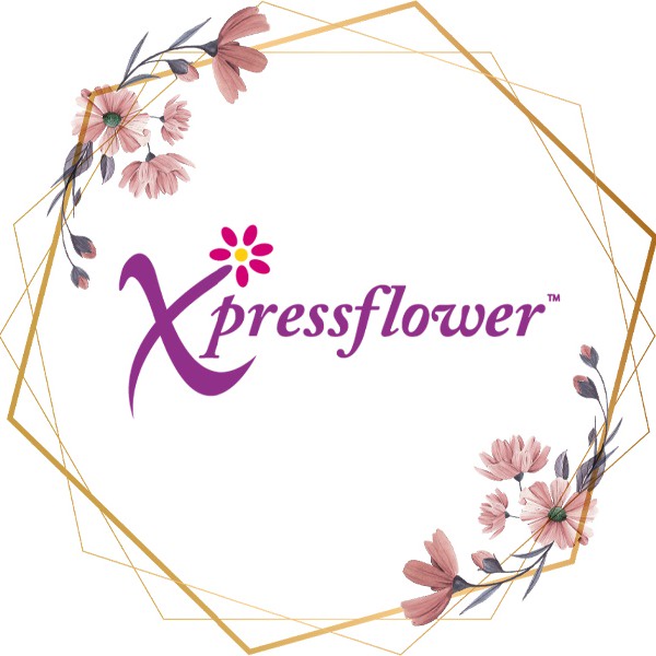 Pte Ltd Official Store , Online Shop Nov 2023 Shopee Singapore