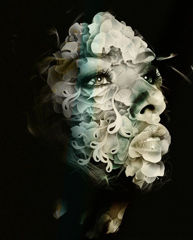 beautiful photo art