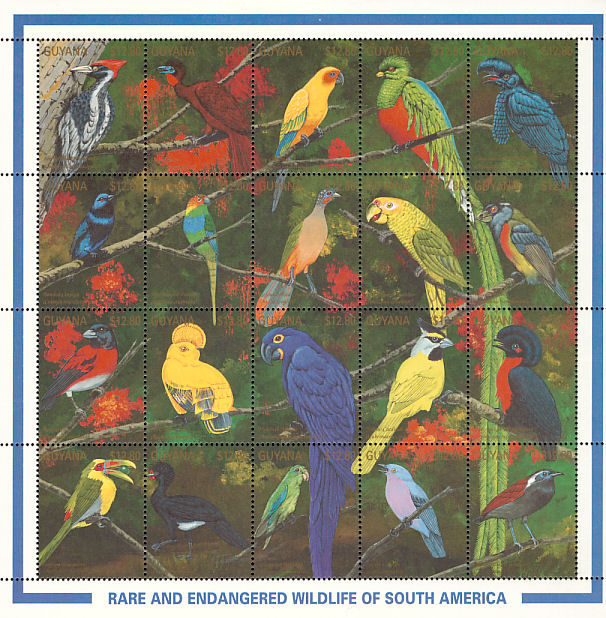 50's pour toujours OISEAUX (birds) par lettre alphabétique Noms en
