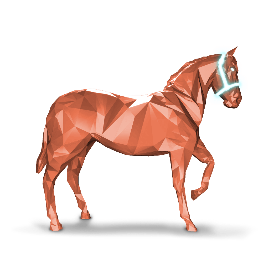 Baby Fark Mcgee Zax ZED Run Horse ZED Run Hawku