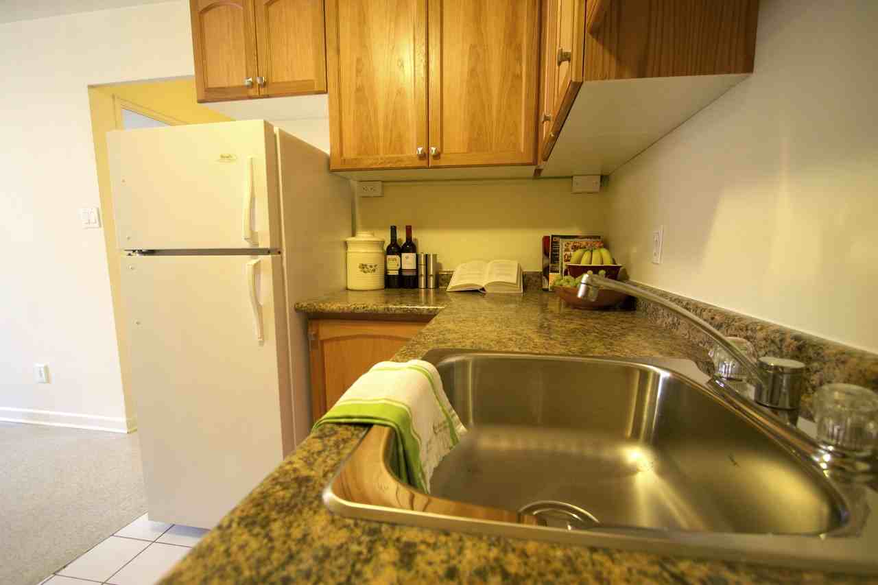 161 Coxwell Ave 1, Toronto, ON M4L 3B4 1 Bedroom Apartment for Rent
