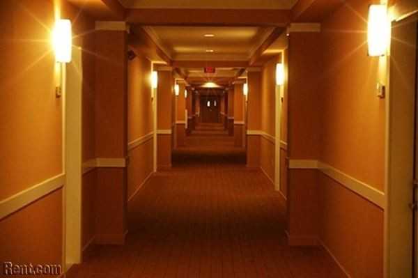 Peachtree Dunwoody and Central Park Apartments Peachtree Dunwoody Rd