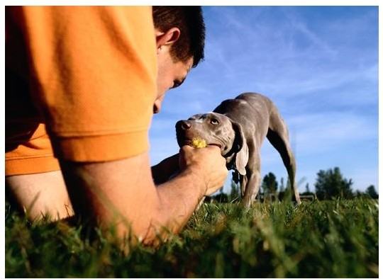 Legacy at Fairview Apartments 1000 Park Village Ct, Fairview, TN