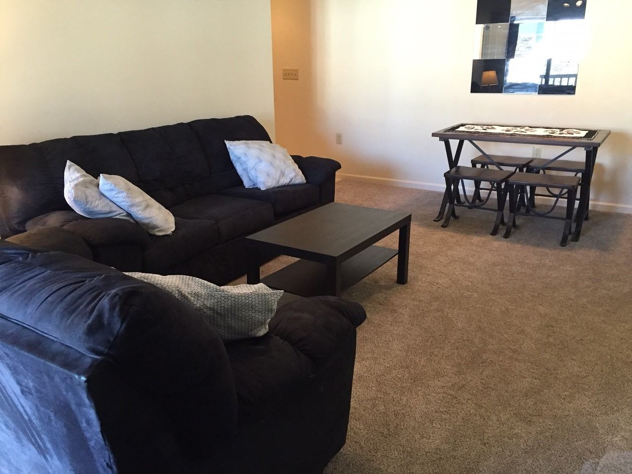 520 Davis Mills Drive 304, Harrisonburg, VA 22801 1 Bedroom Condo for