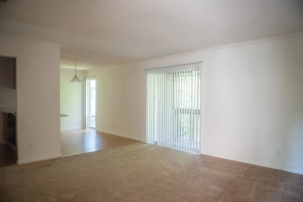 Castlewood & Park Place Apartments 700 East Park Avenue, Valdosta, GA