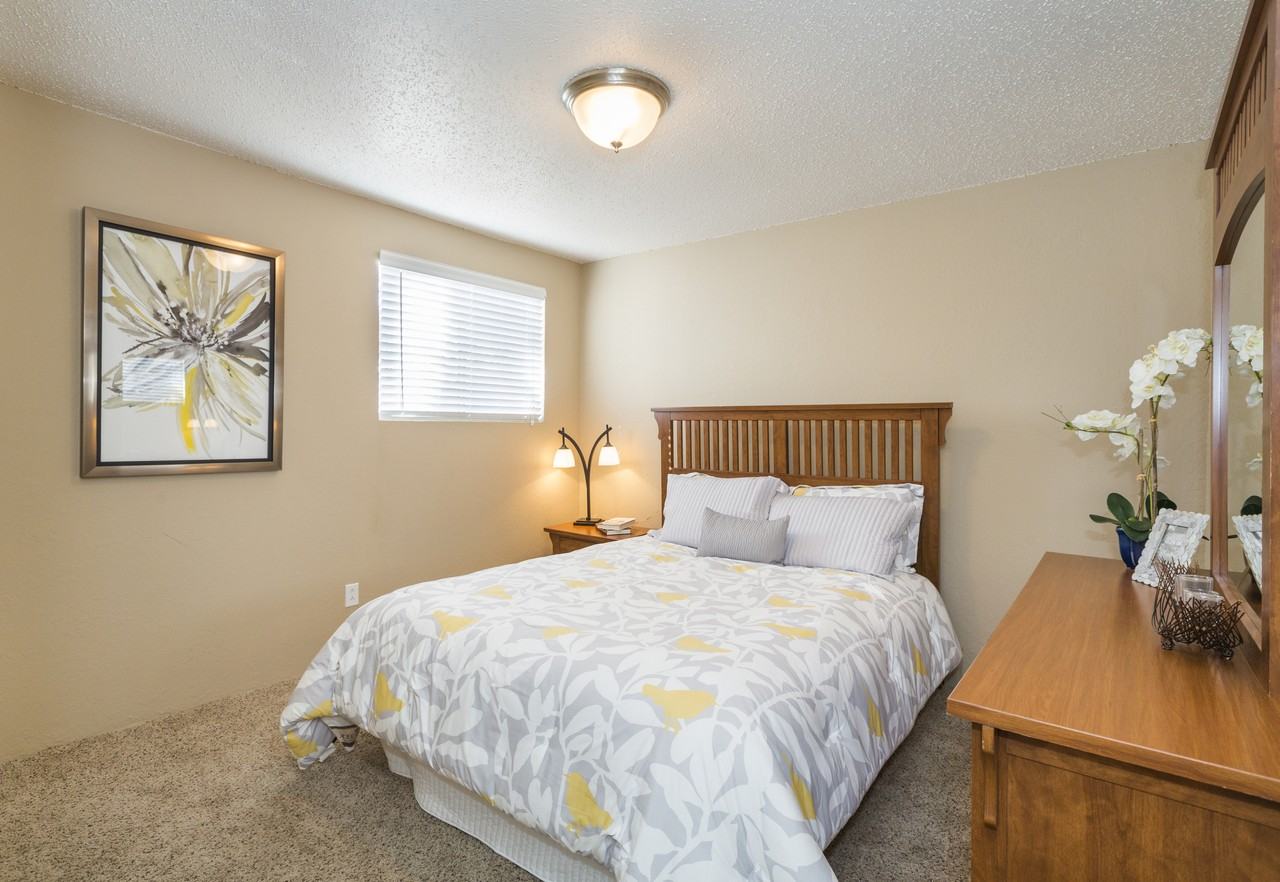 The cheapest apartment rentals for rent in Northeast Colorado Springs,