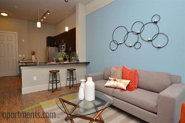 ID No 4778 HOUSTON INNER LOOP AREA Apartments in University Place