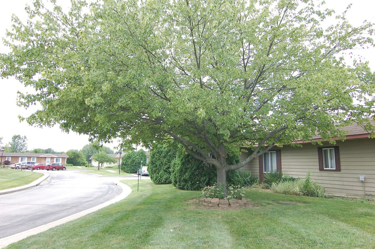 Atrium Village Apartments 2636 Mitthoeffer Rd, Indianapolis, IN 46229