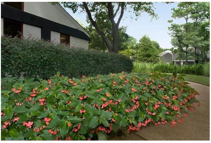 Greenbrook at Shelby Farms Apartments 1400 Greenbrook Pkwy, Memphis