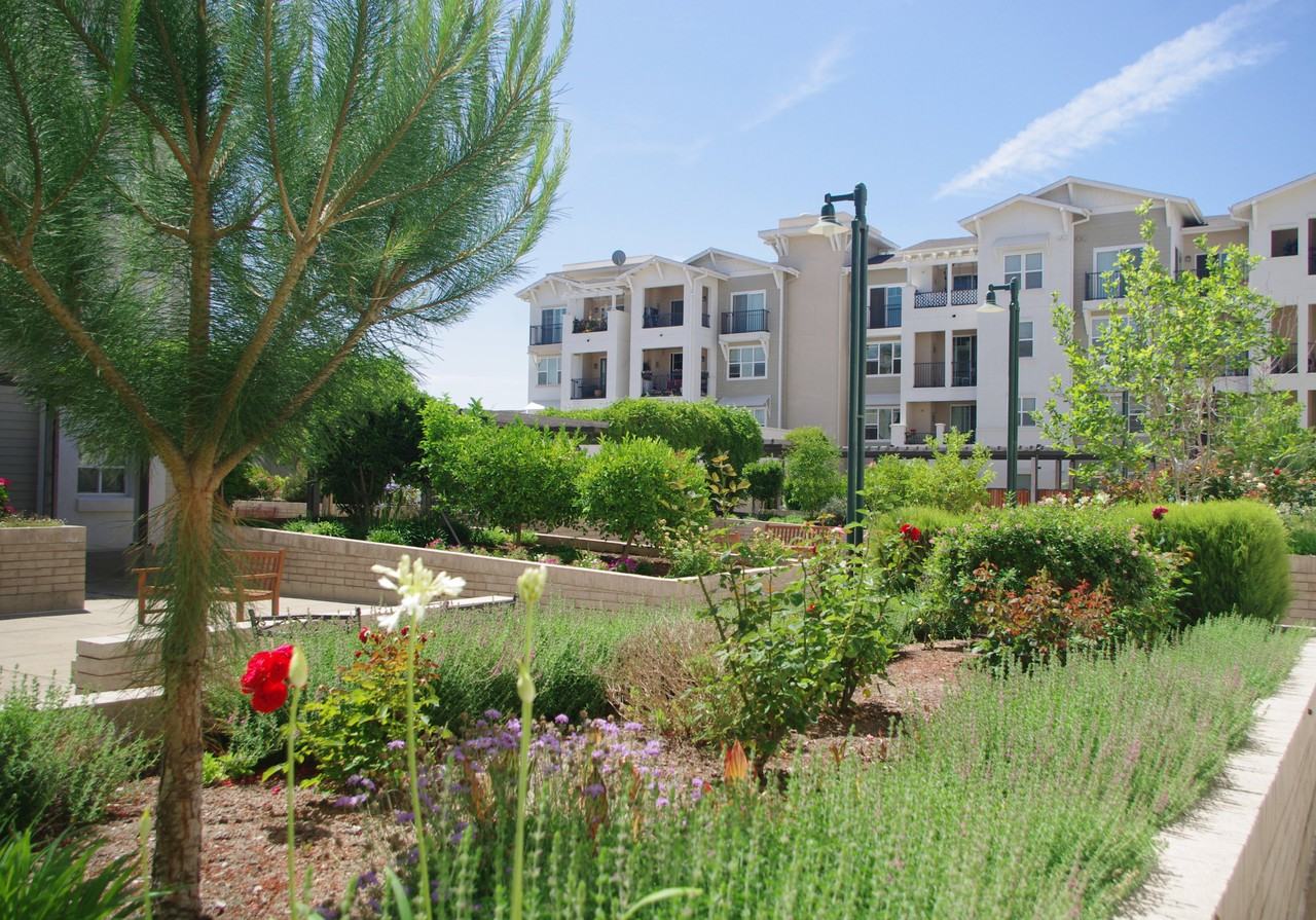 The Groves at Dublin Ranch Senior Apartments 3115 Finnian Way, Dublin