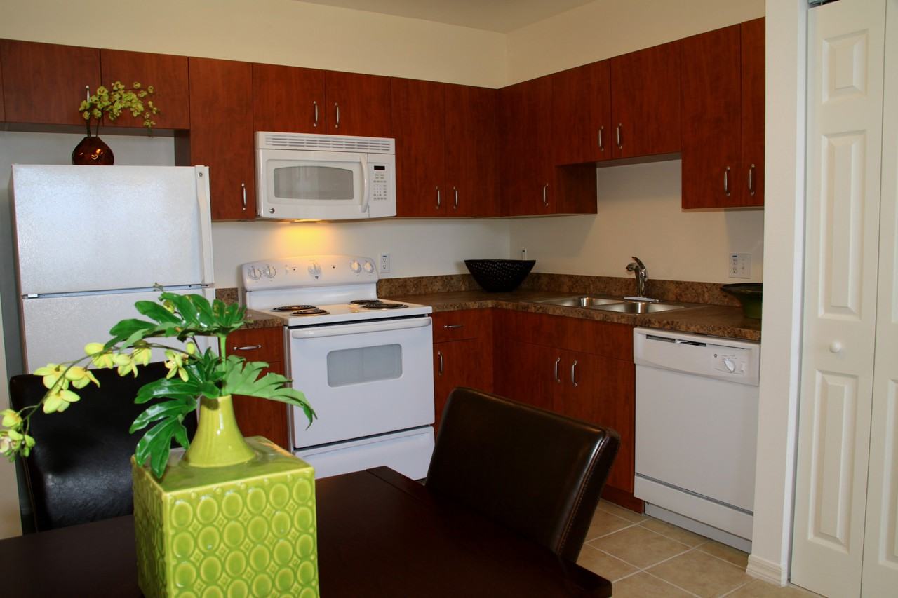 Villa Patricia Apartments 7855 NE 2nd Ave, Miami, FL 33138 Zumper