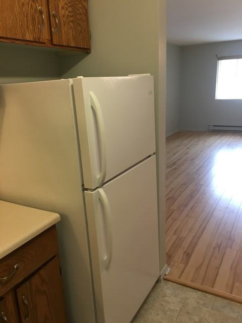 31 Kingsmere Apartments in Sunny Brae North, Moncton, NB E1A 6C2 Zumper