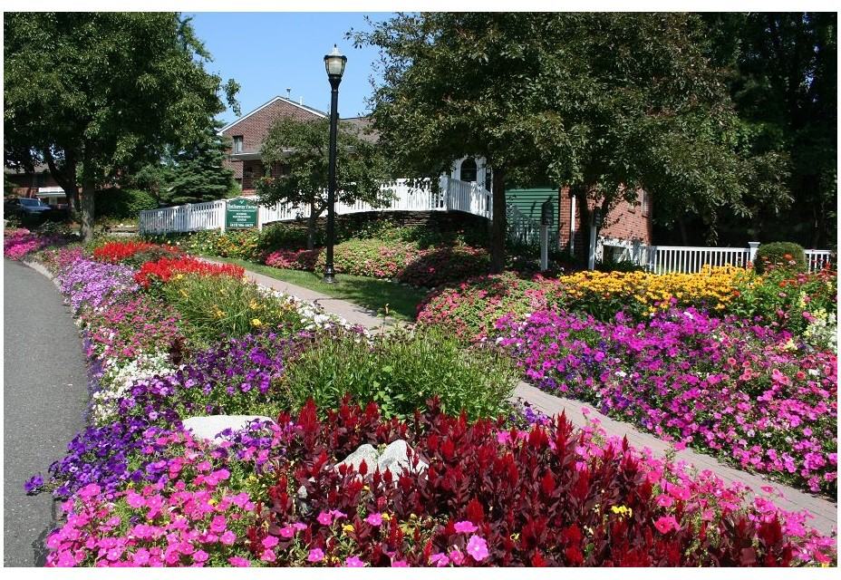 Hathaway Farms Townhomes Apartments 73 Barrett St, Northampton, MA