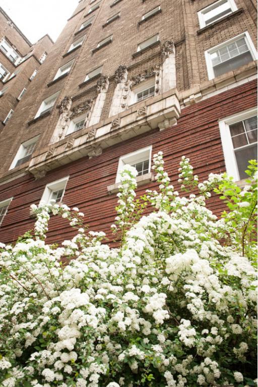 King Edward Apartments 4609 Bayard St, Pittsburgh, PA 15213 Zumper