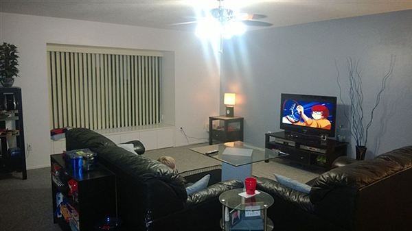 Meadowood Condos Apartments Meadowood Blvd, Temple Terrace, FL 33637