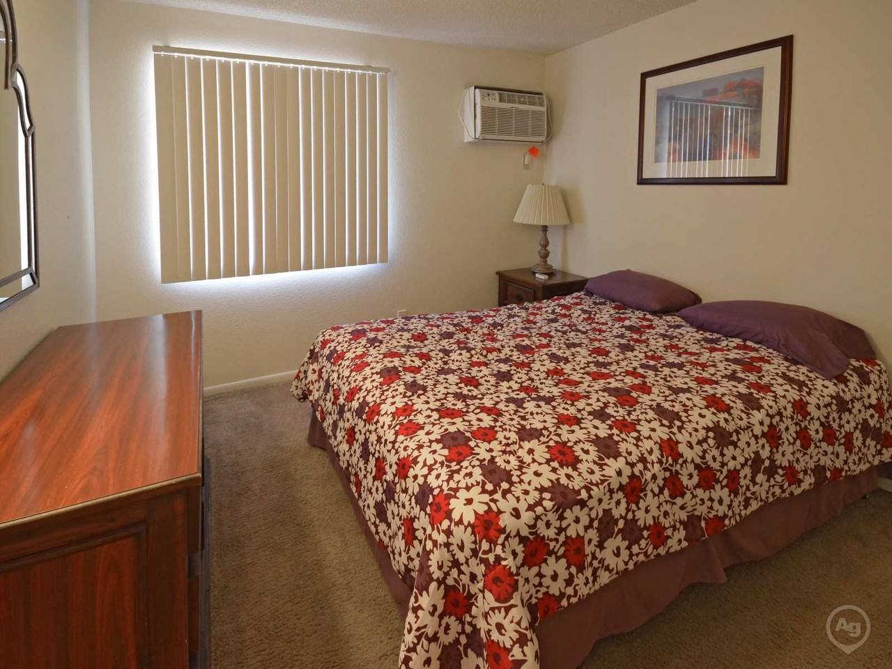 Renting in Tucson What's the cheapest apartment available right now?