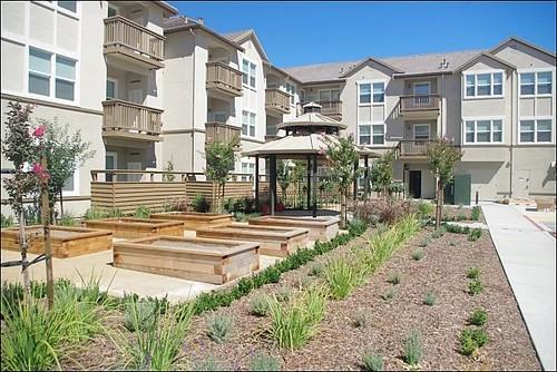 3000 Damani Court Apartments in Danville, CA 94506 Zumper