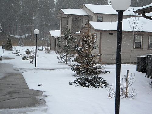 1450 S. Emma Drive Apartments in AZ 85935 Zumper