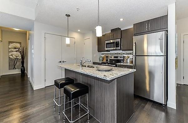 1311 Rusk Street, Houston, TX 77010 1 Bedroom Apartment for 995/month