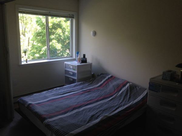 Greenbriar Village Apartments 7525 Tree Ln, Madison, WI 53717 Zumper