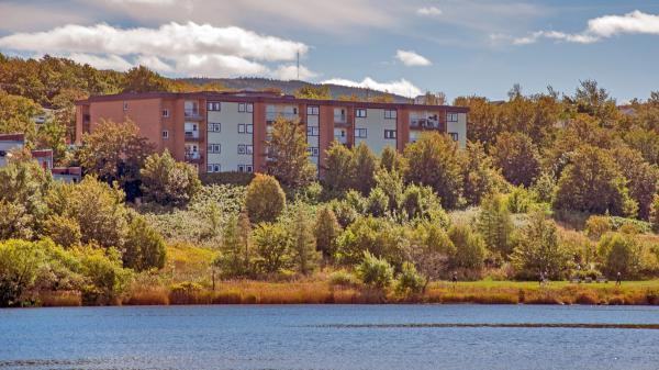 Forest Manor Apartments 143 Forest Rd, St. John's, NL A1A 1E7 Zumper