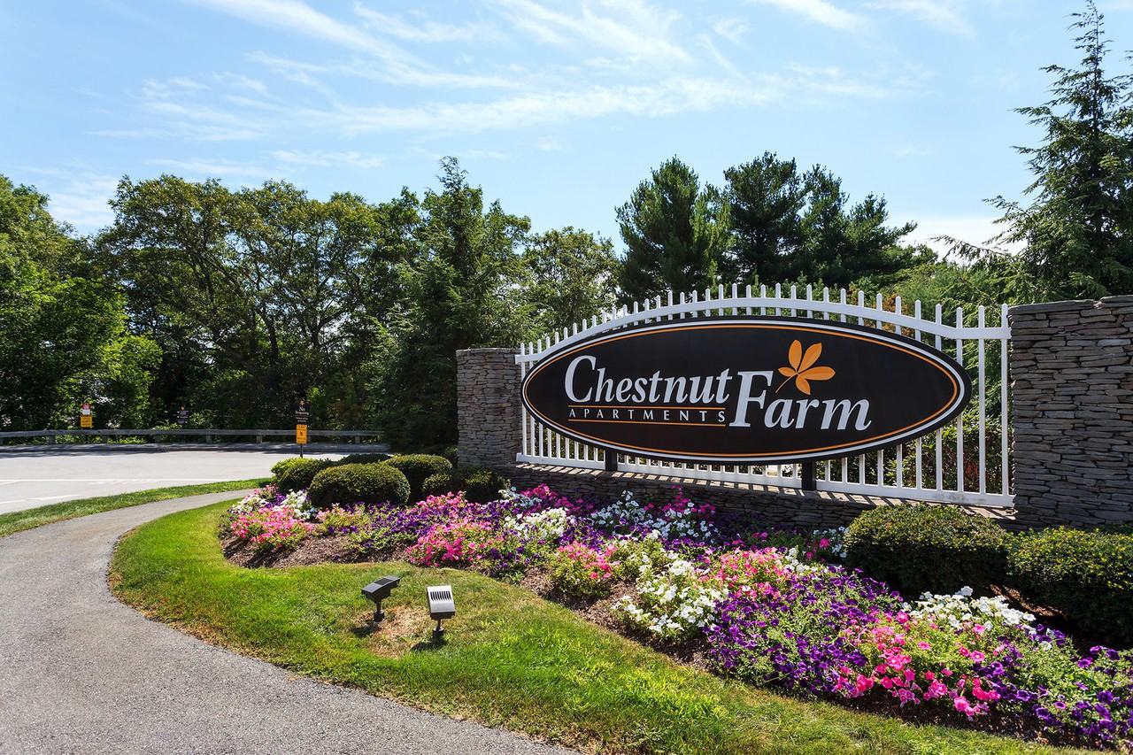 376 Chestnut Farm Way 376, Raynham, MA 02767 2 Bedroom Apartment for