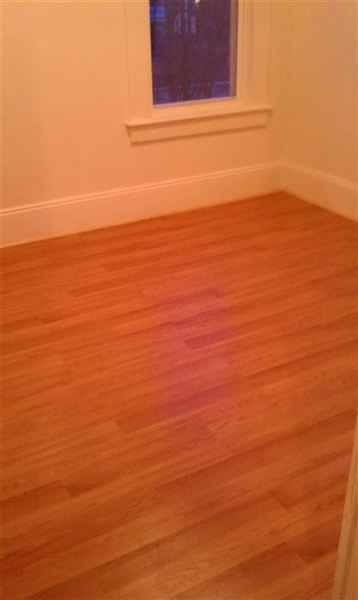 parker st corner springfield st Apartments Parker St, Lawrence, MA